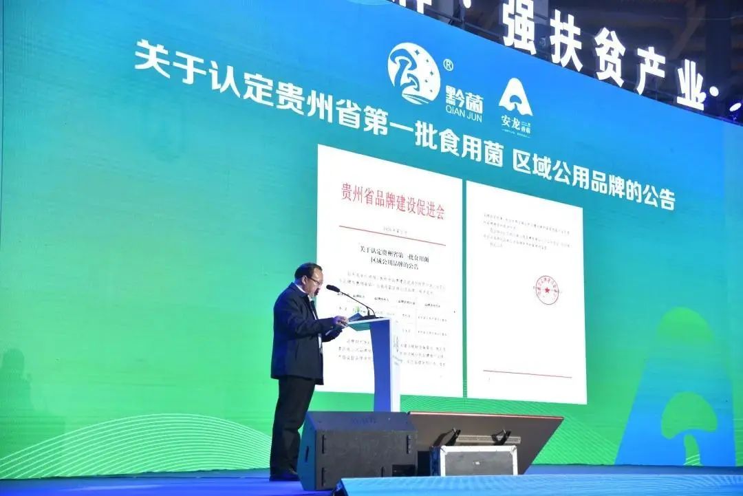 https://mmbiz.qpic.cn/mmbiz_jpg/tViaTicjwibVZmgEXXCALToc7mAB2rFo1LnphlgOvw2zHrq5xI7YU9yygMjJ9BT4x0h6HLInNicNAw7rUibwh3TNzgw/640?wx_fmt=jpeg