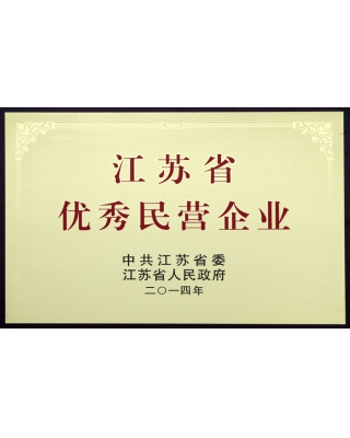 江蘇省優(yōu)秀民營(yíng)企業(yè)